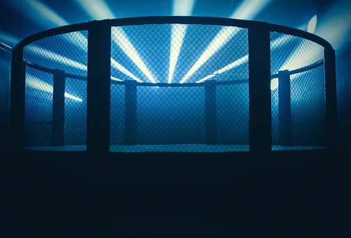 The octagon or cage where MMA fighters compete